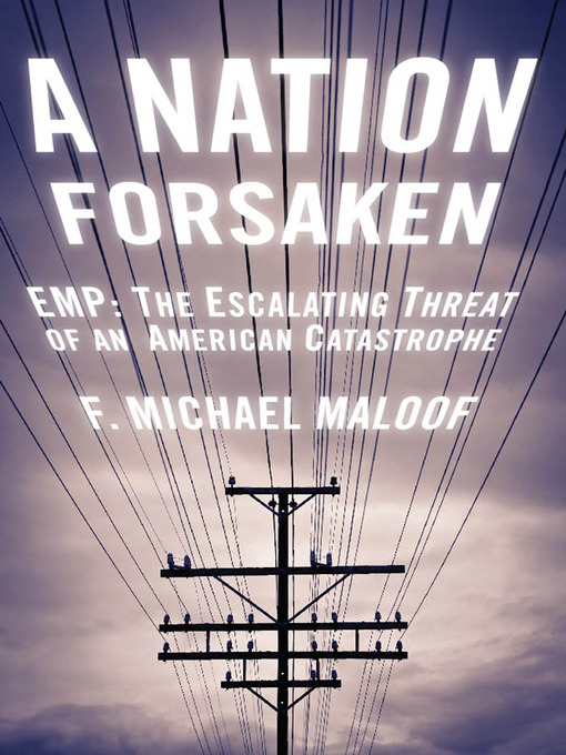 Title details for A Nation Forsaken by F. Michael Maloof - Available